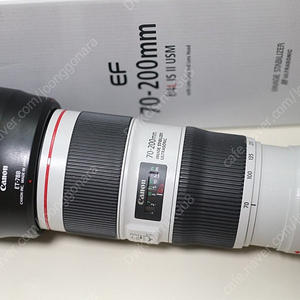 캐논 24-70II(신계륵),35.4 (사무엘투) ,70-200(새형아백통) ,24mm F1.4 ll 이사벨투,사무엘투(35.4), 오이만두(50.2) , 손만두(85.4)시그마