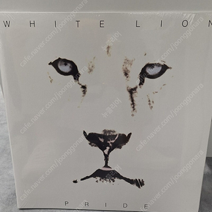 white lion 'pride' LP 팝니다.