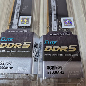 TeamGroup DDR5-5600 CL46 Elite (8GB) 2개