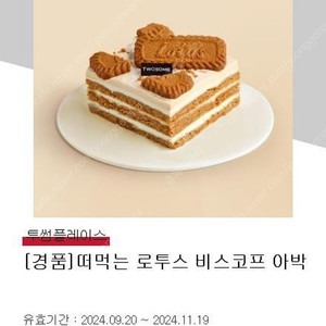 투썸 비스코프 아이스박스