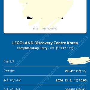 레고랜드 티켓 양도 11월8일 금일 이용권 성인1장