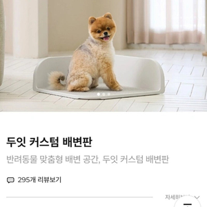 두잇배변판1개