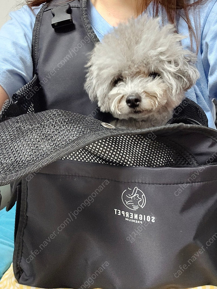 미뇽백 가방 s--3