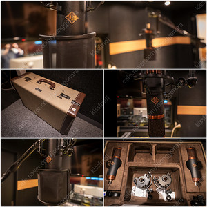 Telefunken 텔레풍켄 TF39 Copperhead Deluxe Matched Pair 스테레오 셋트