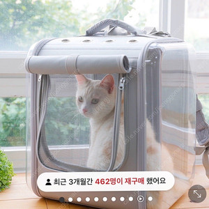 옥희독희 강아지 고양이 이동장 가방