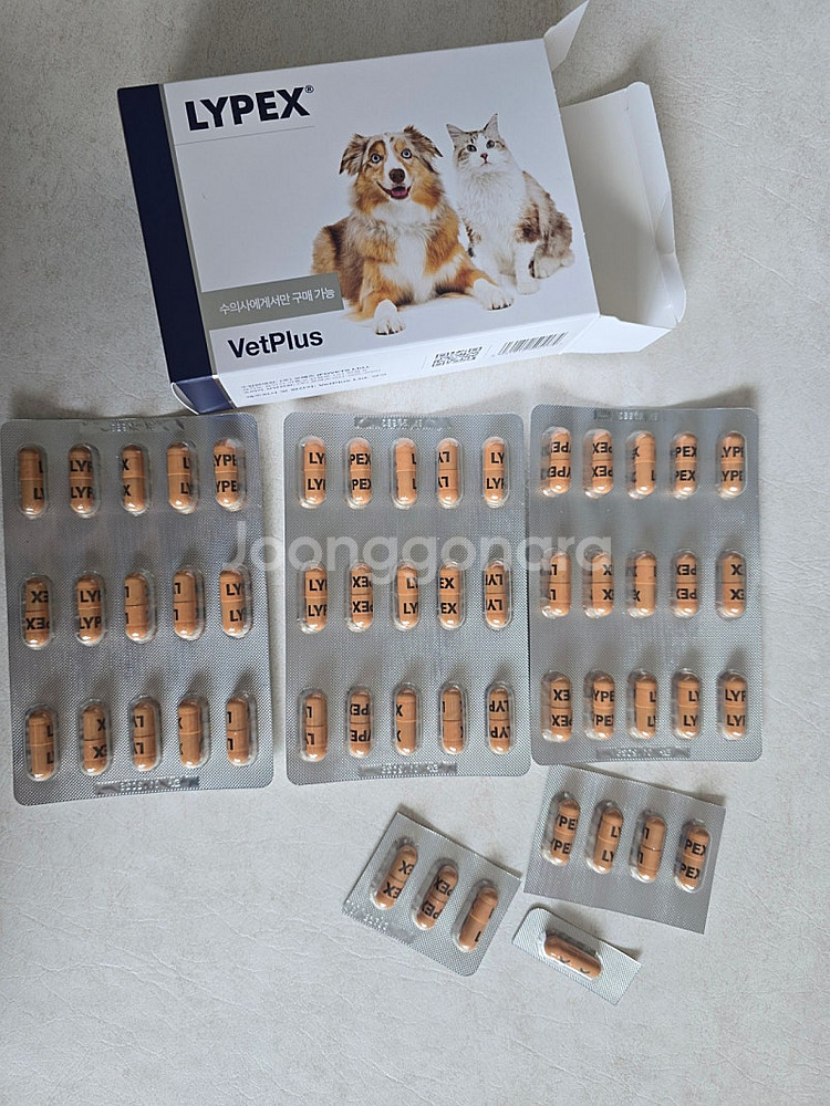 라이펙스 후코케이 액티베이트 조공오메가3 파이보 프로맥스 레날어드밴스드 레노자임 지아이캄 닥터힐메딕스d/l 캔 메디...--0