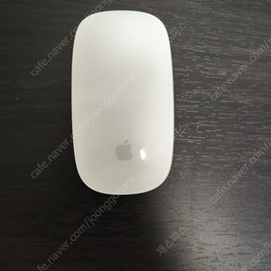 애플 매직 마우스2 Apple Magic Mouse2 화이트