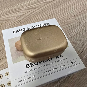 BANG＆OLUFSEN BEOPLAY EX (무선 이어폰, 베오플레이)