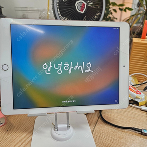 아이패드 프로 1세대 9.7 126G