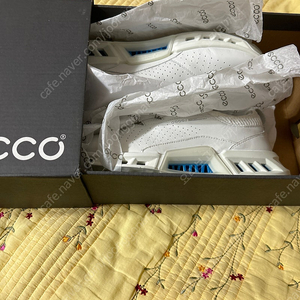 Ecco 남성 골프화 biom c4(245~250mm)