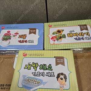 식물기르기 세트 미개봉