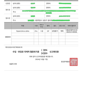 임제 4마리 일괄분양