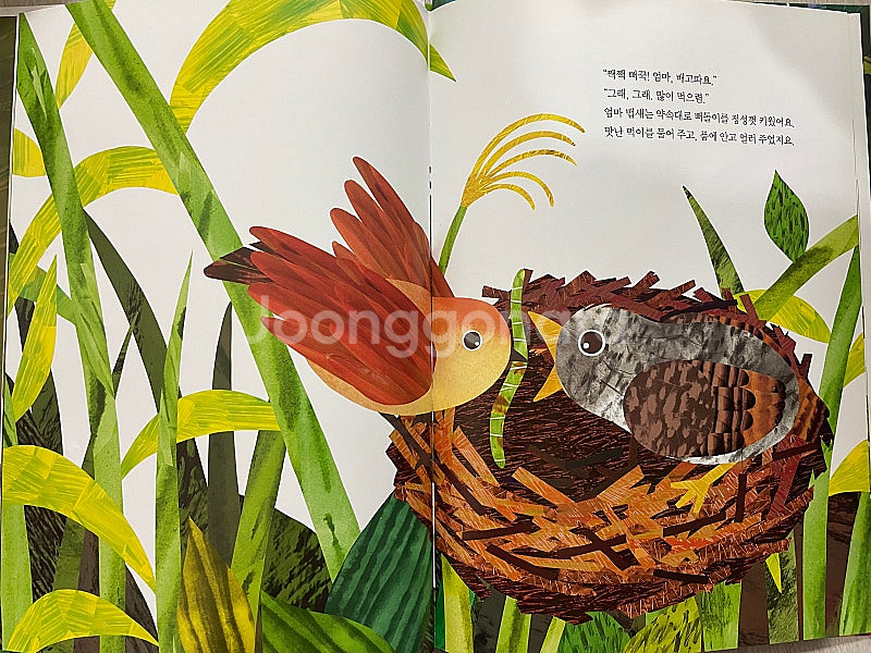 유아도서) 도미솔 전집 + 각종 샘플책 모음 82권--4