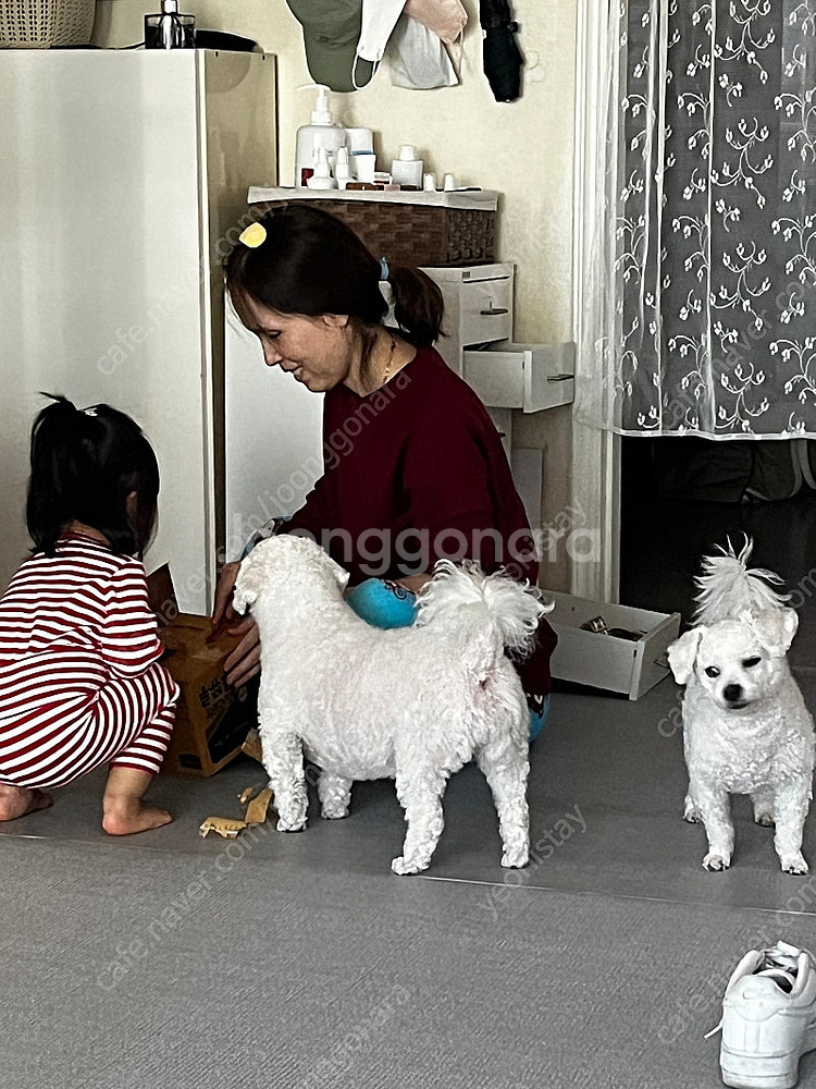 프라다 리나일롱 쇼퍼백 숄더백 기저귀가방--8