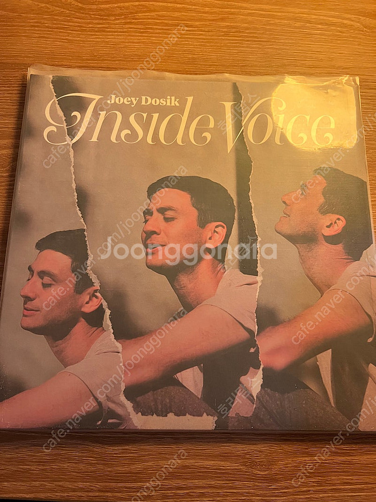 joey dosik LP (white stone ver...--0