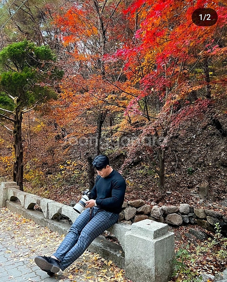 rf70-200 알아빠로 rf24-70 상태에 따라서 ...--0