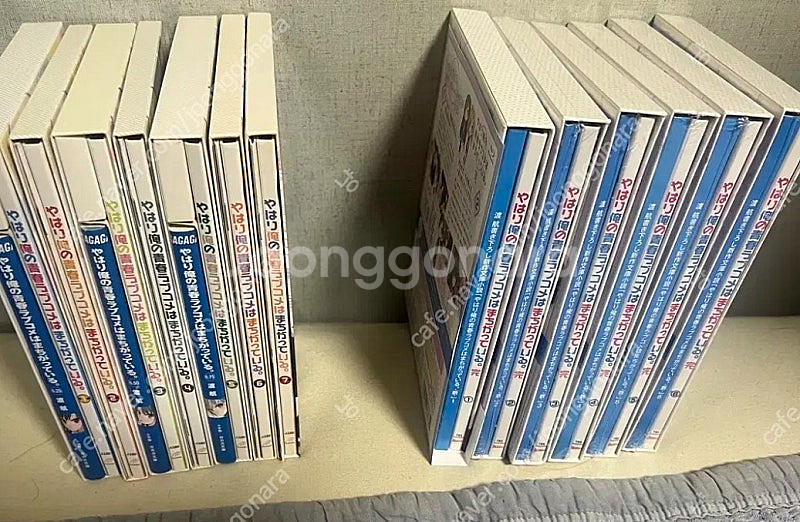 역내청 내청코 bd--0