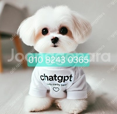 chatgpt 4o 팀플랜 파티원 모집합니다 (GPT ...--0