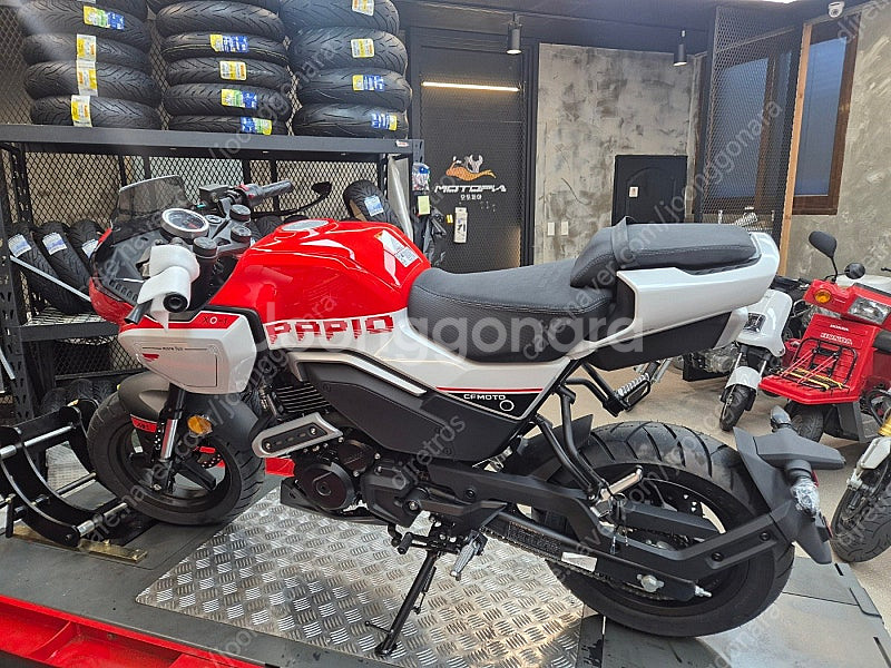 대전 cfmoto 파피오125 XO-2 신차 판매합니다--2