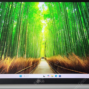 LG 그램 노트북 급처합니다