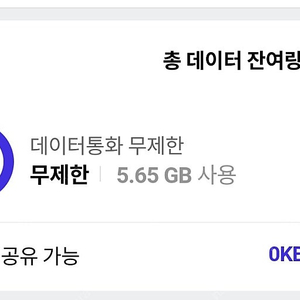 sk데이터 2기가