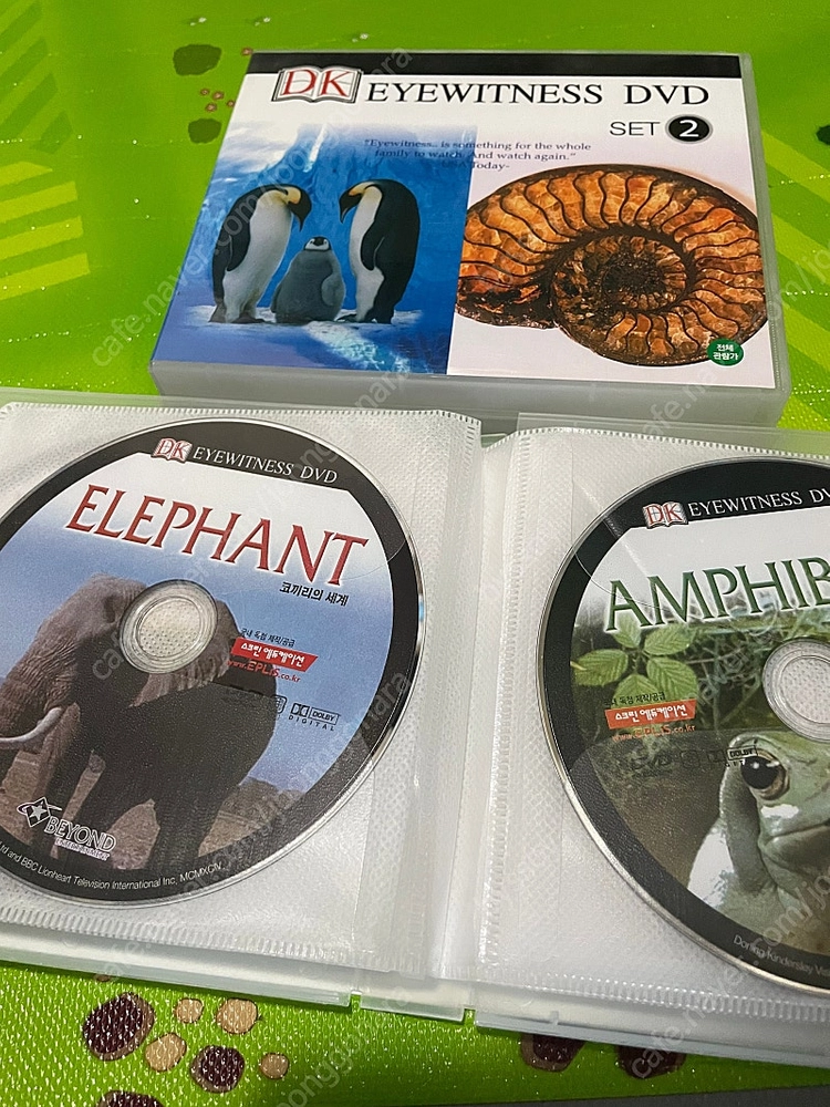 DK dvd 아이위트니스 다큐멘터리 동물다큐 EYEWITNESS 내셔널지오그래픽 이미지