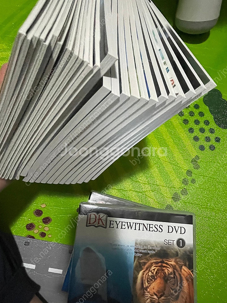 DK dvd 아이위트니스 다큐멘터리 동물다큐 EYEWI...--0