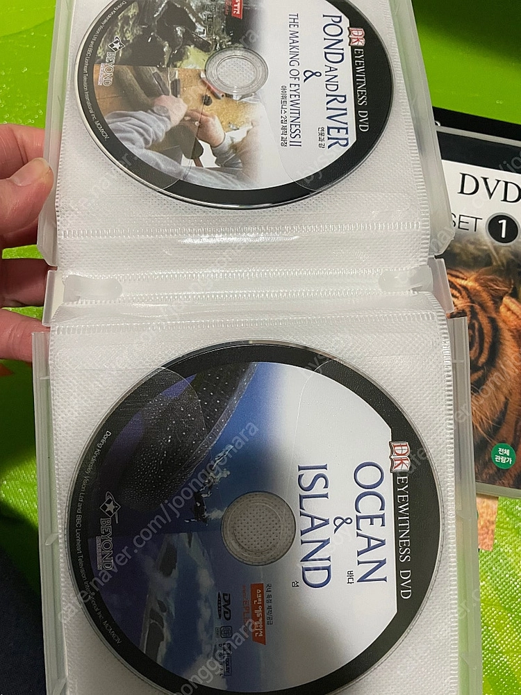DK dvd 아이위트니스 다큐멘터리 동물다큐 EYEWITNESS 내셔널지오그래픽 이미지