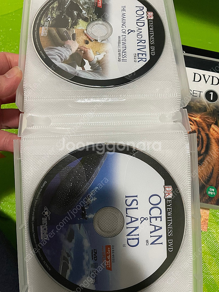 DK dvd 아이위트니스 다큐멘터리 동물다큐 EYEWI...--3