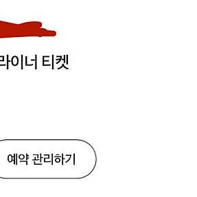 스카이라이너 나리타(편도, 성인2인) 티켓 판매해요