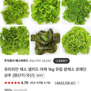 유러피안 채소 샐러드 1kg(3-4종)