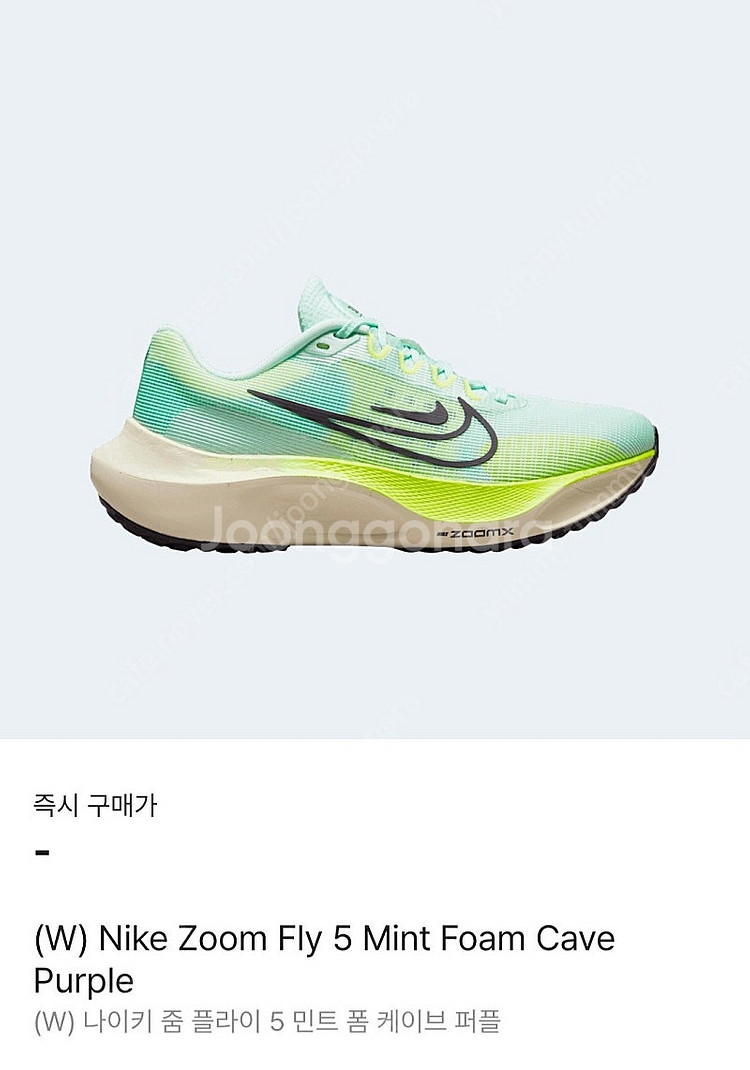 나이키 런닝화 줌 플라이5 민트 250--0