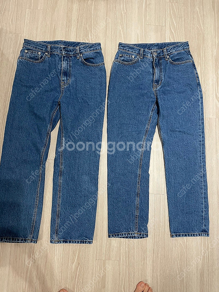 조이드비비에 페퍼진 mone 시엔느--1