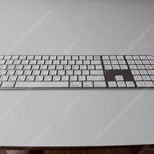 Apple Silicon 장착 Mac용 Magic Keyboard Touch ID 탑재 숫자키패드