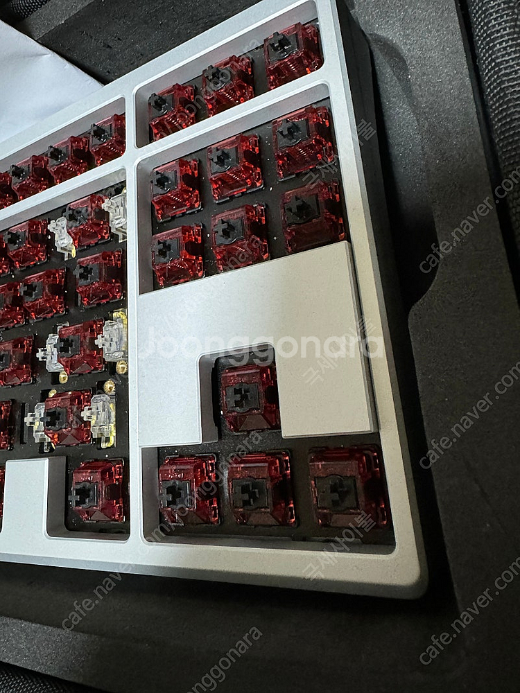 Venom he+frog 8k wkl (베놈 상구리)--2
