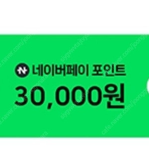 네이버페이 포인트 30000