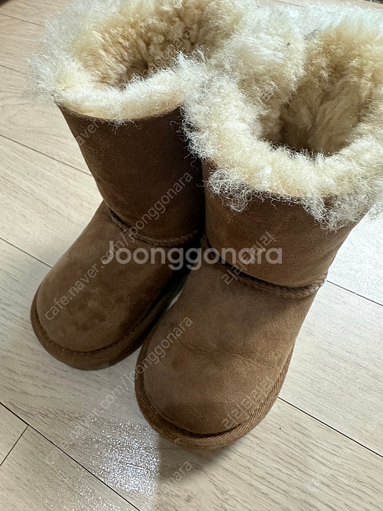 어그 베일리보우 150 us 8--1