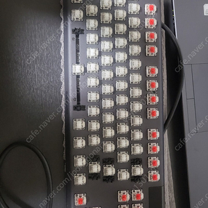 APEX TKL PRO (래피드트리거)