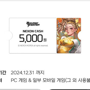 빌딩앤 파이터 13,000원 캐시 쿠폰 판매