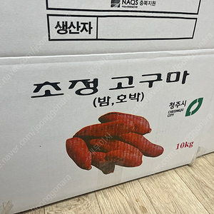 청주 초정 호박 고구마 10키로 판매합니다