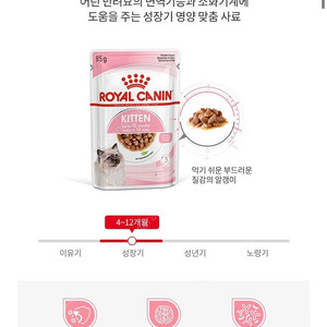 [로얄캐닌] 아기고양이사료 키튼 1.2kg+ 캣파우치 키튼 그레이비 85g 1박스(12개)