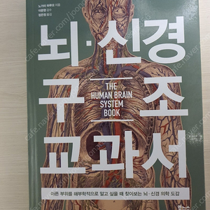 뇌•신경 구조 교과서