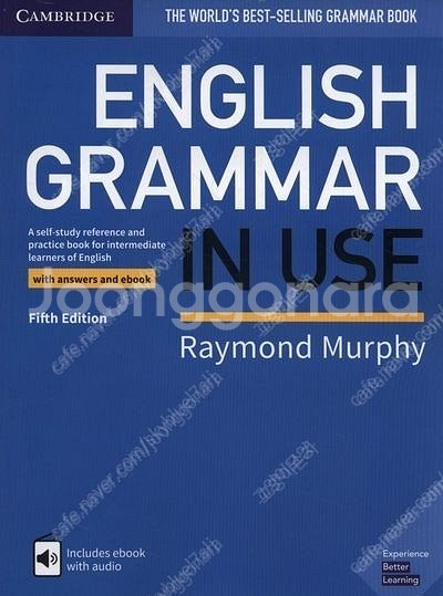 grammar in use blue--0