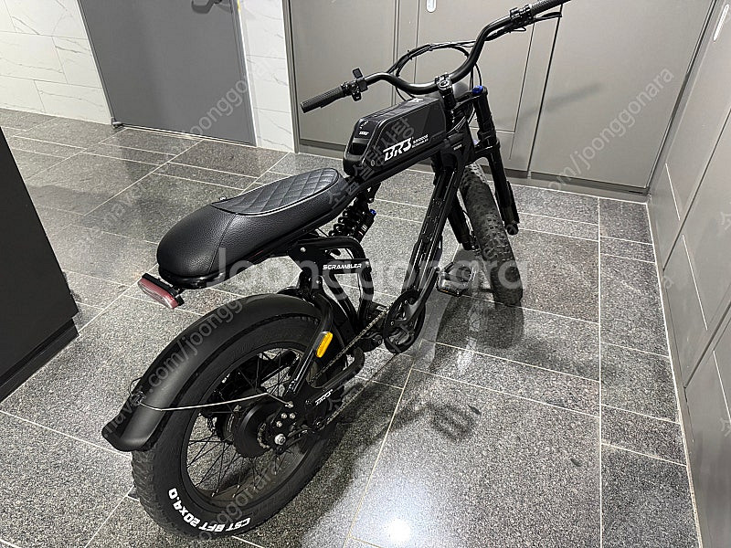 BR3 스크램블러 SR1000S 블랙 48V 20Ah ...--7
