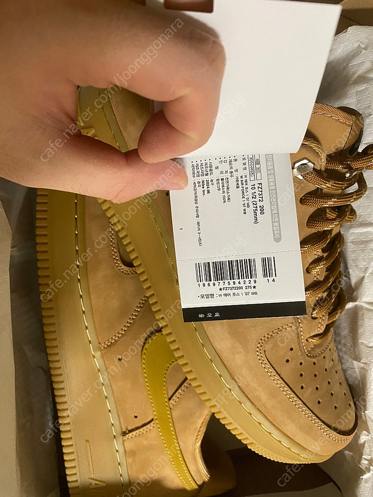 된장포스 FZ7372-200--1