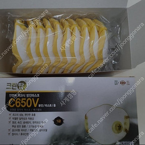 방진마스크 크린탑 C650V​​