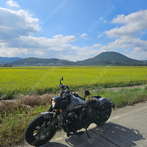 울산 2019년식 인디언 스카우트 바버