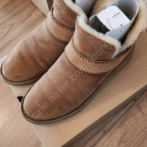 정품 어그 UGG 245