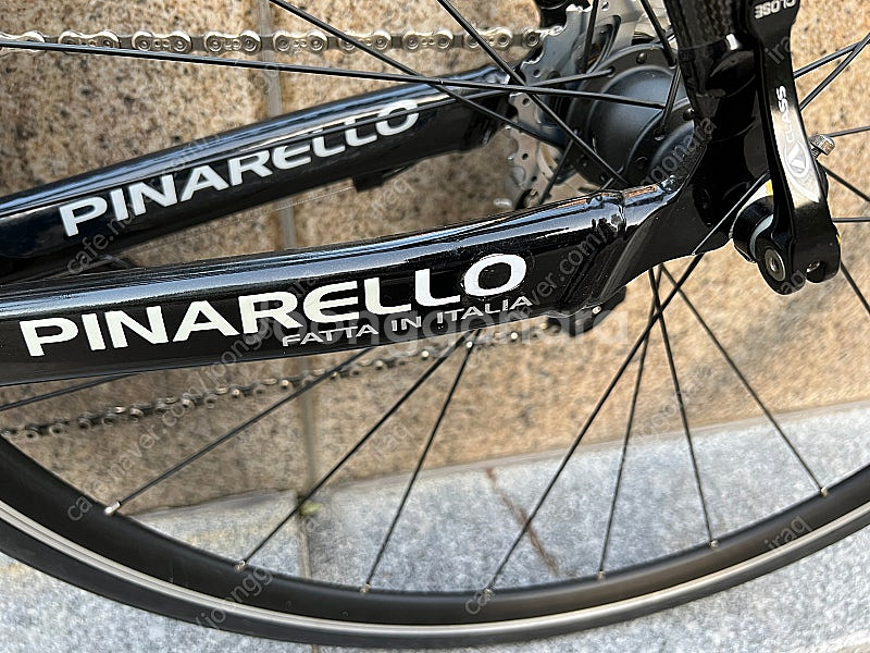 피나렐로 도그마 ak61 마그네슘--2