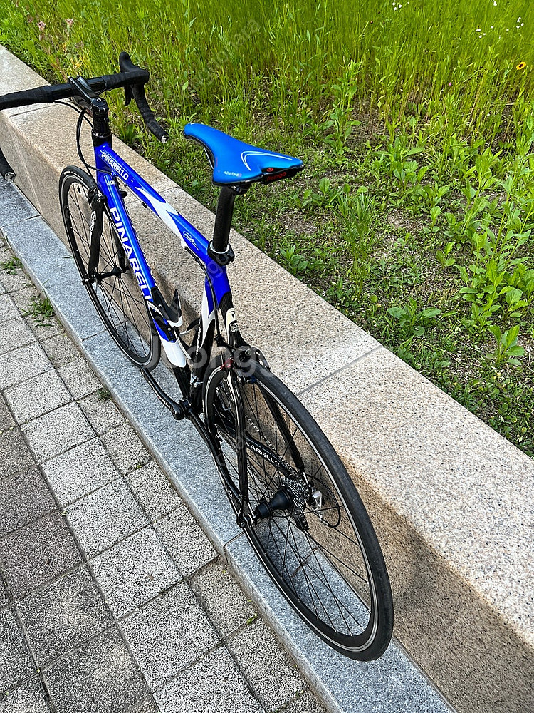 피나렐로 도그마 ak61 마그네슘--4